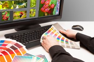 Designer Choosing Colour Samples