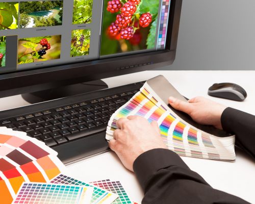 Designer Choosing Colour Samples Designer Choosing Colour Samples